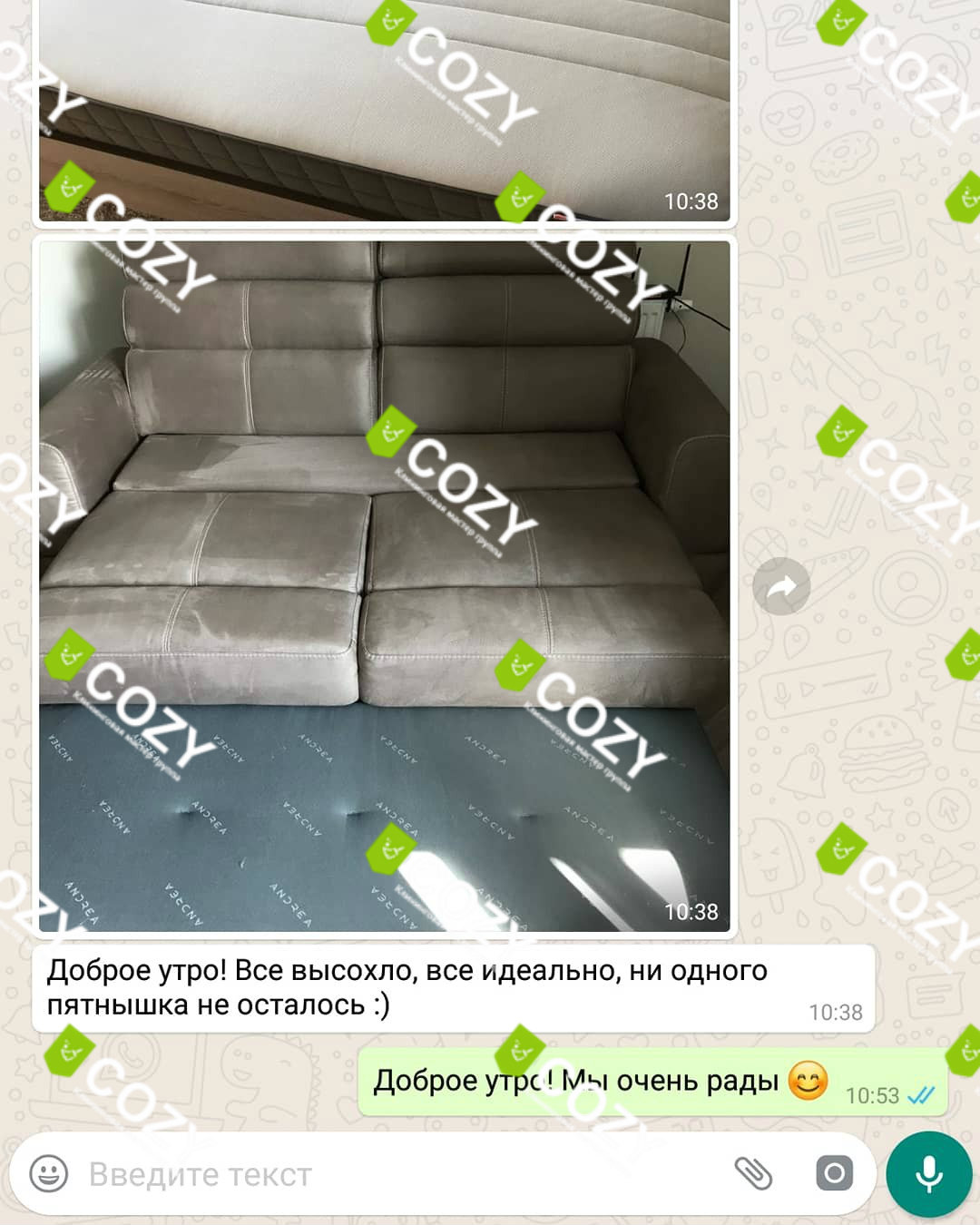 Отзыв о клининговой компании COZY